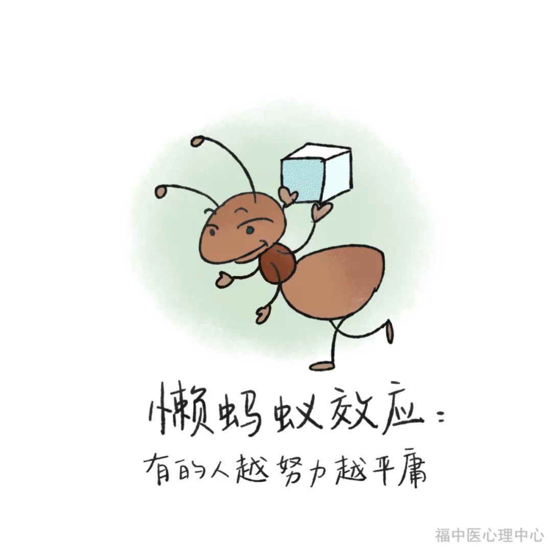 C44F