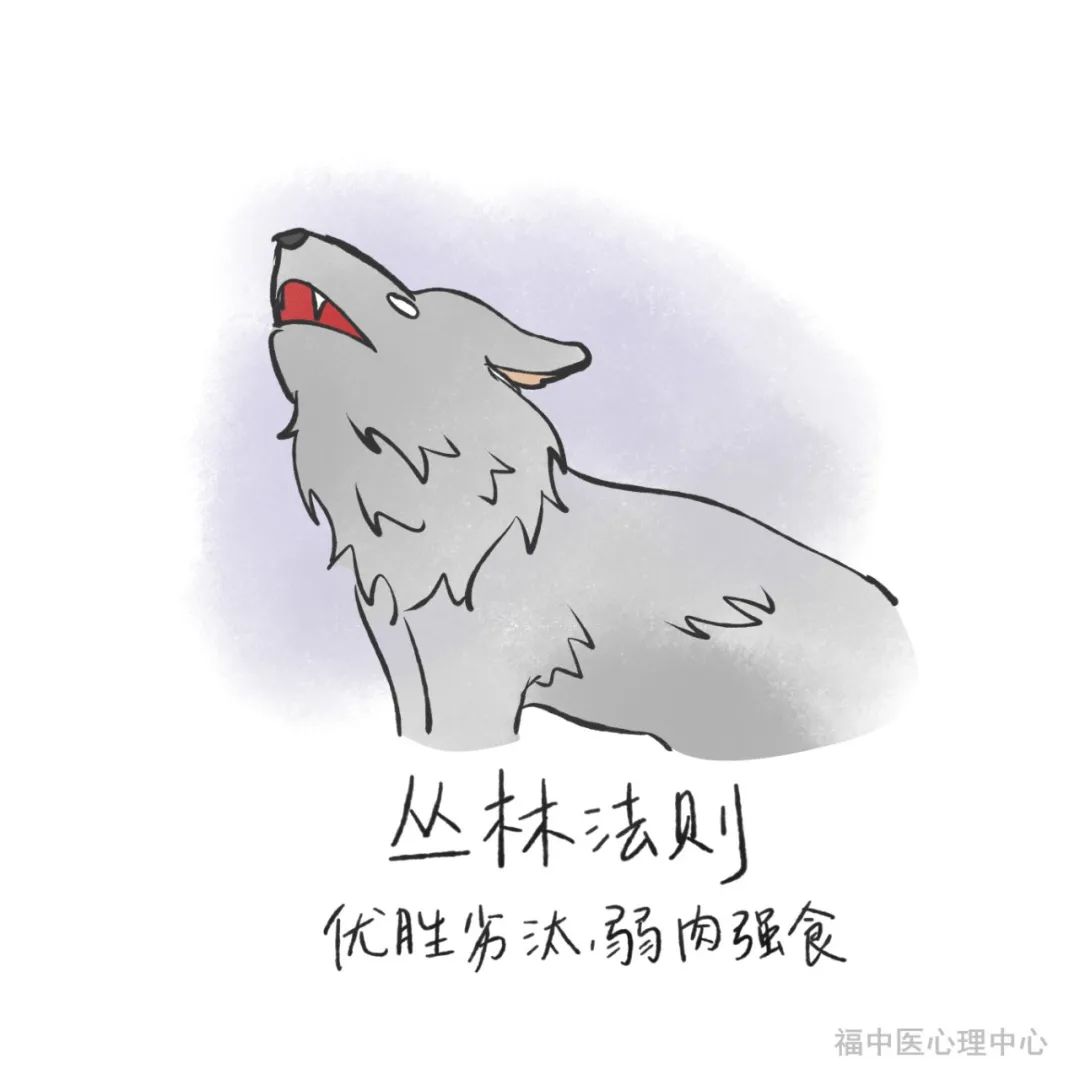 C371